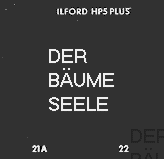 Der B�ume Seele - Dokumentation